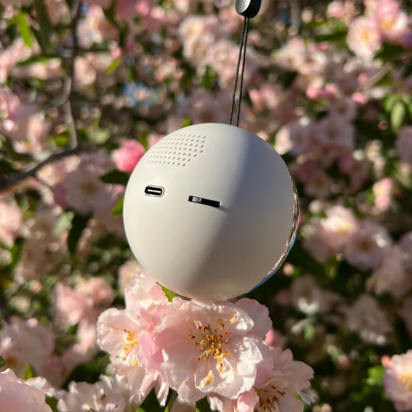 Memory Orb - Rousem™