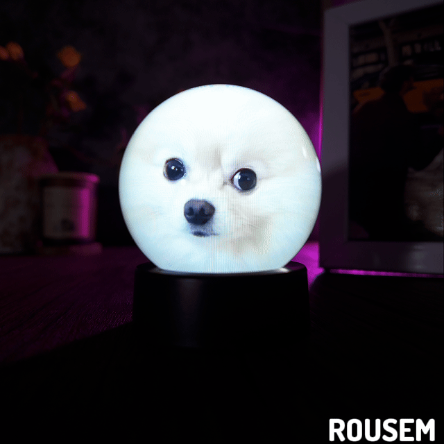 Memory Orb - Rousem™